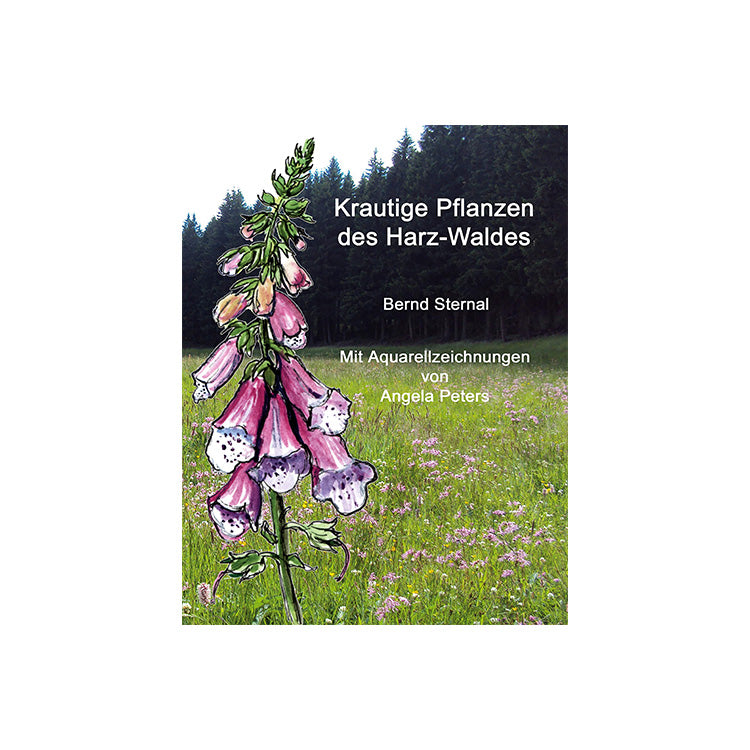 Krautige Pflanzen des Harz-Waldes: Mit Aquarellzeichnungen von Angela Peters